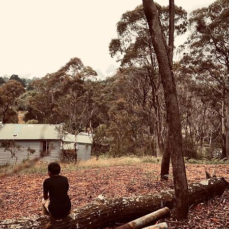 Katoomba Hideaway - Free Wifi, Netflix, Disney Plus Exterior photo